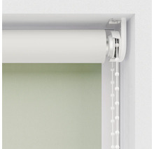 Grüne Rolljalousie mit Kettenzug am Fenster