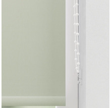 Grüne Rollos mit Bedienkette