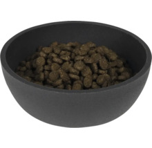 Schwarze Schale gefüllt mit Tierfutter