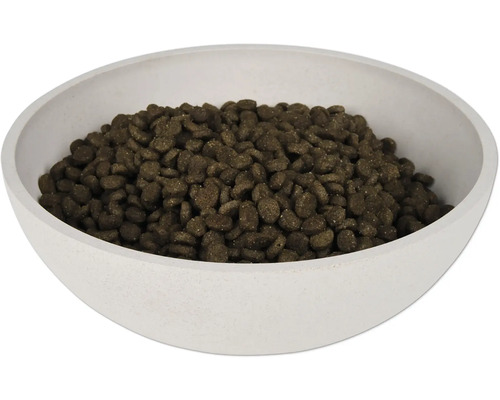 Trockenfutter für Katzen in einer Schale