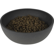 Futternapf gefüllt mit Hundefutter