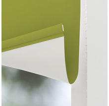 Grüne Fensterrollos zur Lichtsteuerung und zum Schutz der Privatsphäre.