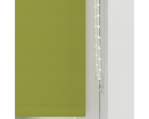 Grüne Rollos mit Bedienkette