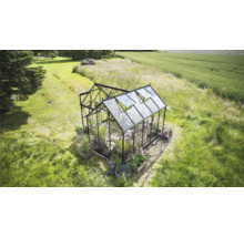 Gewächshaus im Garten mit Pflanzen und geöffneten Fenstern.