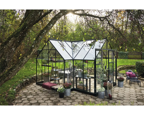 Gewächshaus mit Glaswänden und schwarzem Rahmen im Garten.