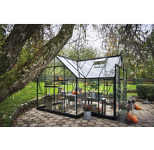 Gewächshaus im Garten mit Pflanzen und Kürbissen auf Tischen und Regalen.