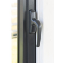 Fenster mit Fenstergriff