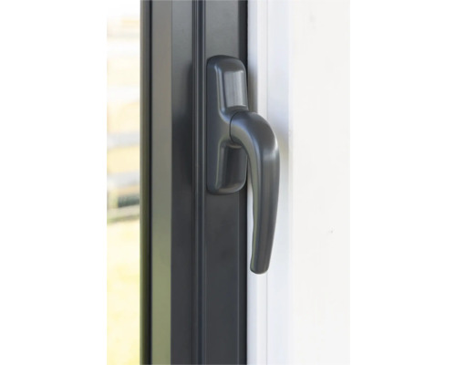 Fenster mit Fenstergriff