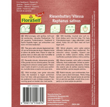 Saatband für Radieschen der Sorte Riesenbutter/Vitessa Raphanus sativus