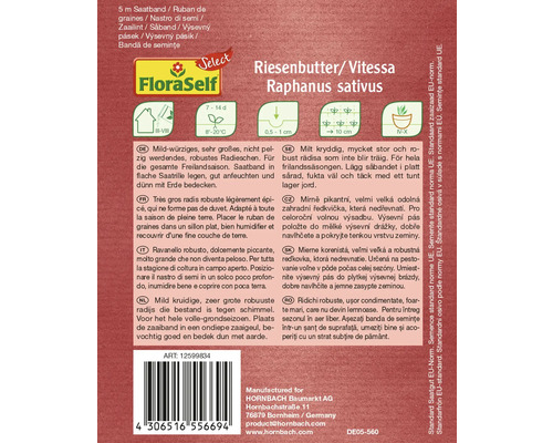 Saatband für Radieschen der Sorte Riesenbutter/Vitessa Raphanus sativus