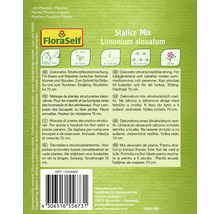 Statice Mix Limonium sinuatum Samenpackung von FloraSelf