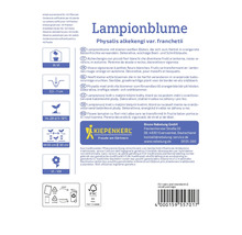 Verpackung der Lampionblume Physalis alkekengi var franchetii
