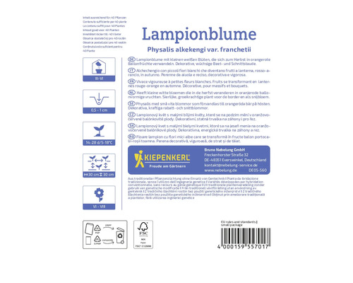 Verpackung der Lampionblume Physalis alkekengi var franchetii