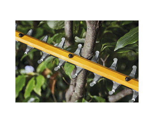 Nahaufnahme der Schneideblätter einer Heckenschere beim Schneiden eines Astes