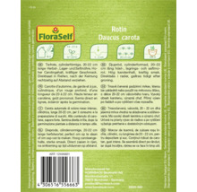 Rotin Möhrensaat Daucus carota