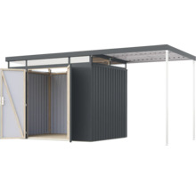 Geräteschuppen mit Anbau und offener Tür