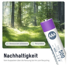AAA Batterie vor Waldkulisse mit Symbolen für Ressourcenschonung und Recycling