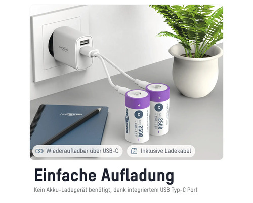 Ansmann C-Akkus mit USB-C-Ladekabel und Netzteil
