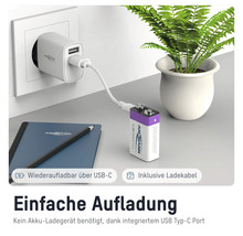 Ansmann USB-C Ladegerät mit 9-Volt-Akku und USB-Ladekabel
