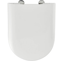 Toilettensitz aus Sanitärkeramik