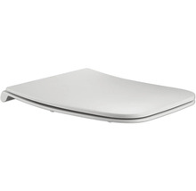 Toilettendeckel aus Kunststoff