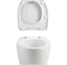 Wand-Tiefspül-WC mit WC-Sitz