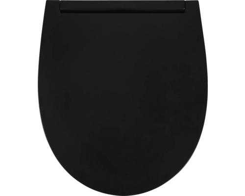 Toilettendeckel