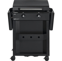 Enders Amaro Gasgrill mit zwei Brennern und Ablageflächen