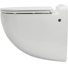 Wand-Tiefspül-WC mit WC-Sitz