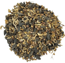 Mischung aus Vogelfutter mit Sonnenblumenkernen und verschiedenen Samen