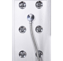 Duschelement mit Handbrause und Massagedüsen