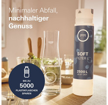 Grohe Blue Wasserfilter und Glaskaraffe auf einem Tisch