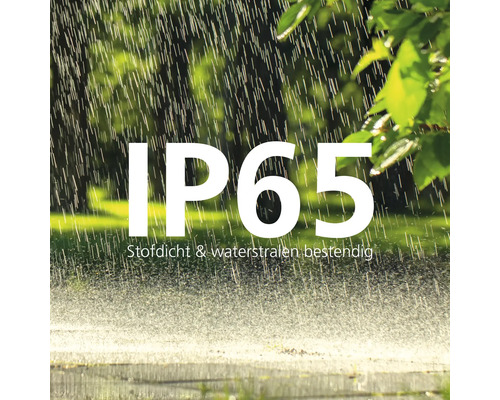 IP65 Staubdicht und Schutz gegen Strahlwasser