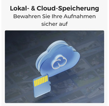 Symbolische Darstellung von Cloudspeicher und Speicherkarte zur Datensicherung