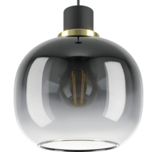 Pendelleuchte mit Lampenschirm aus Glas