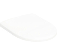 Toilettendeckel