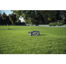 Rasenmähroboter auf einer Rasenfläche im Garten.