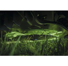 Rasenmäher beim Schneiden von Gras