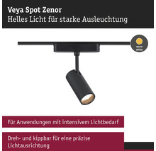 Veya Spot Zenor Schienenstrahler