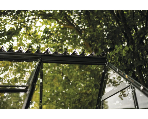 Detailaufnahme eines Gewächshauses mit Glas und Metallrahmen