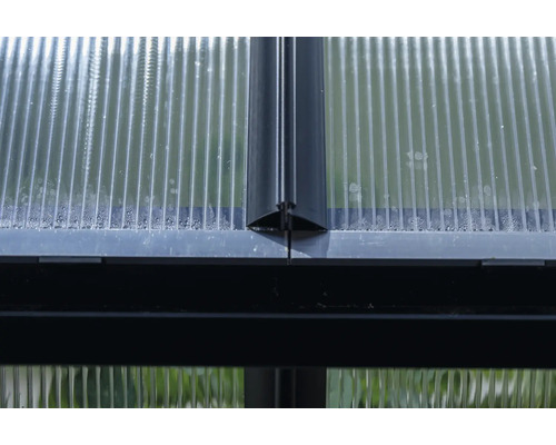 Detailansicht eines Gewächshauses mit Polycarbonatplatten und Rahmen