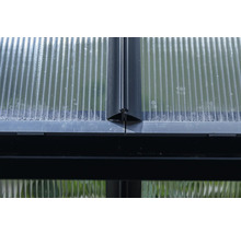 Detailaufnahme einer Gewächshauswand mit transparenten Platten