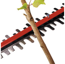 Nahaufnahme einer Heckenschere, die einen Ast schneidet