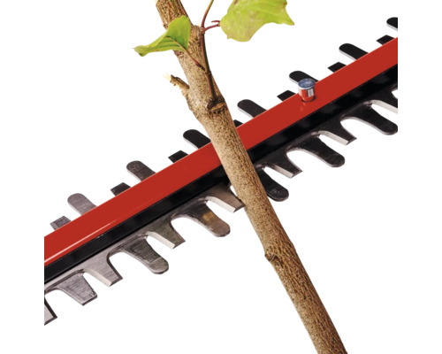 Nahaufnahme einer Heckenschere, die einen Ast schneidet