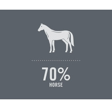 Illustration eines Pferdes mit dem Text 70 Prozent Pferd