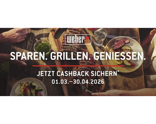 Weber Aktionsangebot mit Fleisch und Gemüse auf einem Holztisch
