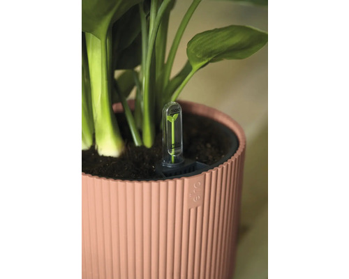 Blumentopf mit Wasserstandsanzeiger