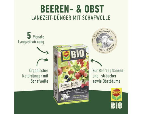 Compo Bio Beeren und Obst Langzeitdünger mit Schafwolle Packung