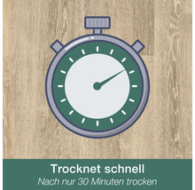 Symbol für schnelle Trocknung, trocken nach nur 30 Minuten.