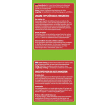 Informationstext zu einer elektronischen Rattenfalle mit Vorteilen und Anwendungstipps auf Deutsch und Niederländisch.